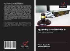 Egzaminy akademickie II的封面