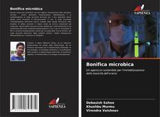 Bookcover of Bonifica microbica