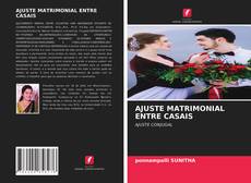 Capa do livro de AJUSTE MATRIMONIAL ENTRE CASAIS 