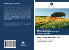 Capa do livro de Leistung von Weizen 