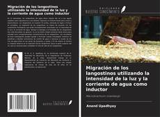 Bookcover of Migración de los langostinos utilizando la intensidad de la luz y la corriente de agua como inductor