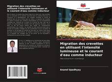 Buchcover von Migration des crevettes en utilisant l'intensité lumineuse et le courant d'eau comme inducteur