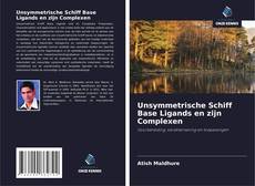 Buchcover von Unsymmetrische Schiff Base Ligands en zijn Complexen