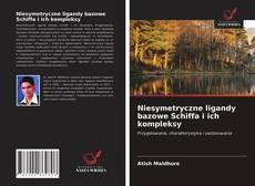 Bookcover of Niesymetryczne ligandy bazowe Schiffa i ich kompleksy