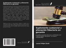 Bookcover of Suplemento sustancial y alienación fiduciaria en garantía