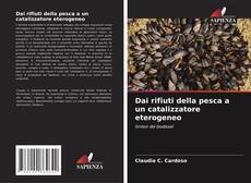 Bookcover of Dai rifiuti della pesca a un catalizzatore eterogeneo