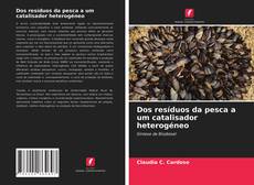 Bookcover of Dos resíduos da pesca a um catalisador heterogéneo