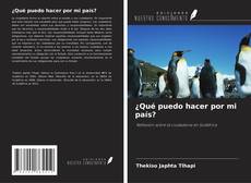 Portada del libro de ¿Qué puedo hacer por mi país?