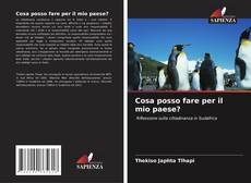 Cosa posso fare per il mio paese? kitap kapağı