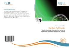 Odilon Polleunis的封面