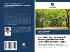 Bookcover of Nachweis von Lysozym in Knollengewächsen und Calotropis procera-Latex
