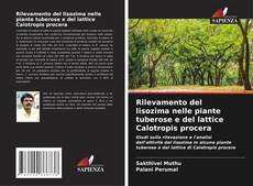 Bookcover of Rilevamento del lisozima nelle piante tuberose e del lattice Calotropis procera