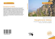 Buchcover von Haughmond Abbey