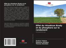 Bookcover of Effet du rhizobium Brady et du phosphore sur le rendement