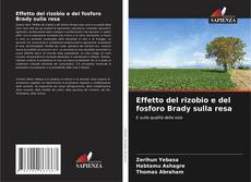Bookcover of Effetto del rizobio e del fosforo Brady sulla resa