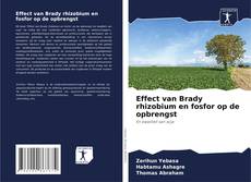 Buchcover von Effect van Brady rhizobium en fosfor op de opbrengst