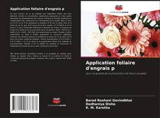 Buchcover von Application foliaire d'engrais p