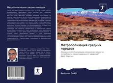Bookcover of Метрополизация средних городов