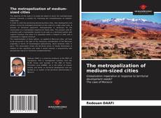 Bookcover of The metropolization of medium-sized cities