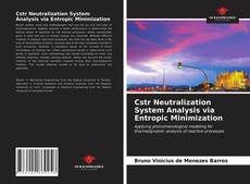 Cstr Neutralization System Analysis via Entropic Minimization kitap kapağı