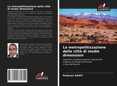 Bookcover of La metropolitizzazione delle città di medie dimensioni