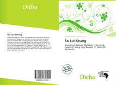 Bookcover of So Loi Keung