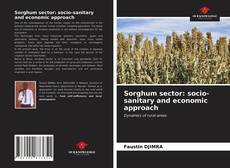 Обложка Sorghum sector: socio-sanitary and economic approach