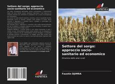 Bookcover of Settore del sorgo: approccio socio-sanitario ed economico