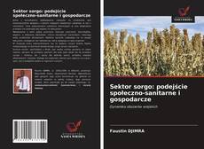 Buchcover von Sektor sorgo: podejście społeczno-sanitarne i gospodarcze