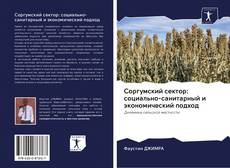 Buchcover von Соргумский сектор: социально-санитарный и экономический подход