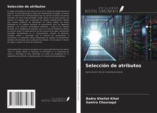 Bookcover of Selección de atributos
