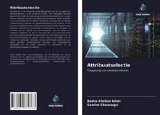 Bookcover of Attribuutselectie