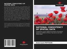 Couverture de NATIONAL CONSISTENCY OF SPATIAL DATA