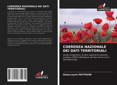 COERENZA NAZIONALE DEI DATI TERRITORIALI kitap kapağı