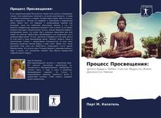 Bookcover of Процесс Просвещения: