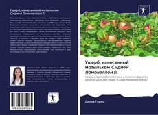 Ущерб, нанесенный мотыльком Сидией Помонеллой Л. kitap kapağı