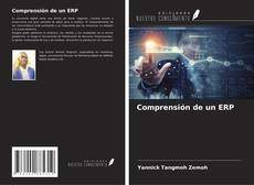 Bookcover of Comprensión de un ERP