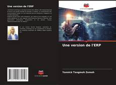 Une version de l'ERP kitap kapağı