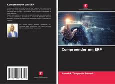 Compreender um ERP kitap kapağı