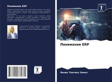 Bookcover of Понимание ERP