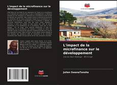 Buchcover von L'impact de la microfinance sur le développement