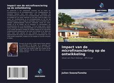 Impact van de microfinanciering op de ontwikkeling kitap kapağı