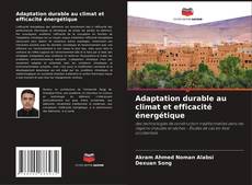 Bookcover of Adaptation durable au climat et efficacité énergétique