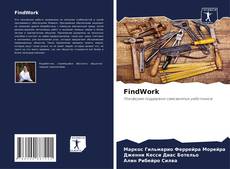 FindWork kitap kapağı