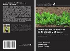 Acumulación de nitratos en la planta y el suelo的封面