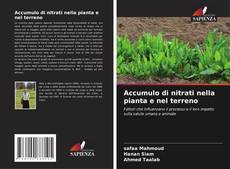 Portada del libro de Accumulo di nitrati nella pianta e nel terreno