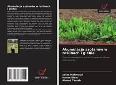 Buchcover von Akumulacja azotanów w roślinach i glebie