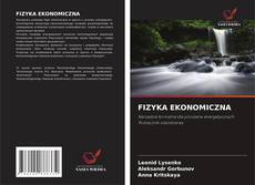 Bookcover of FIZYKA EKONOMICZNA