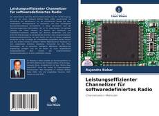 Bookcover of Leistungseffizienter Channelizer für softwaredefiniertes Radio