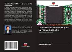 Buchcover von Canalisateur efficace pour la radio logicielle